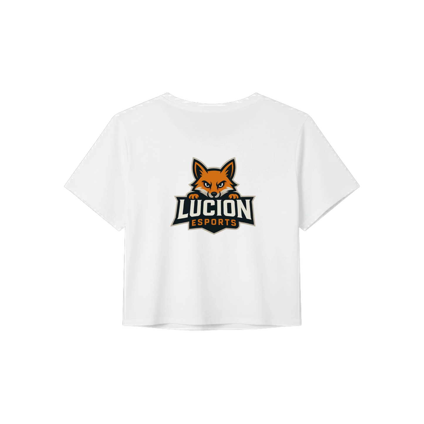 ff776f88-97c7-4baa-ac98-c57af034c2d6