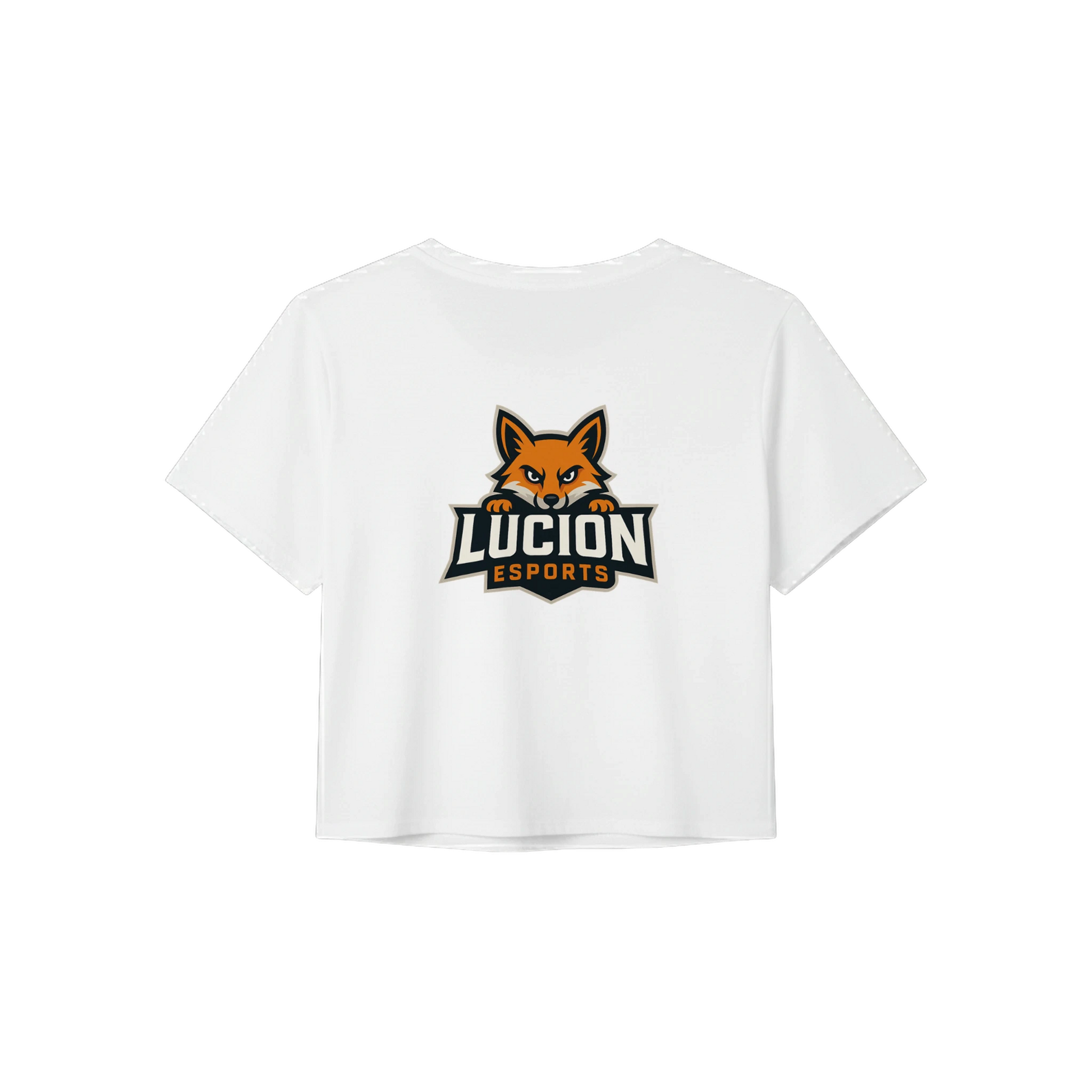 ff776f88-97c7-4baa-ac98-c57af034c2d6